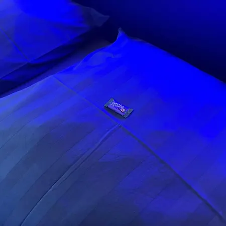 Appartement Frequent Traveler