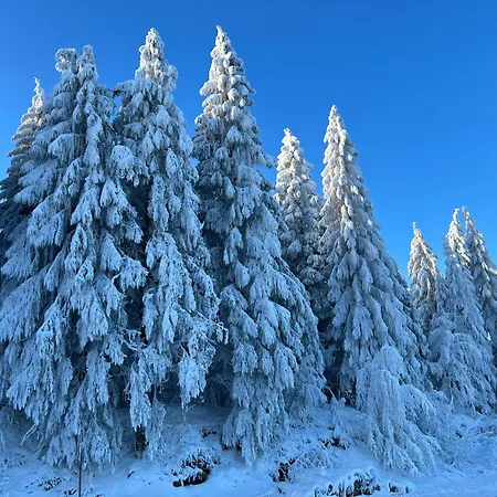 Apartmán Frequent Traveler *