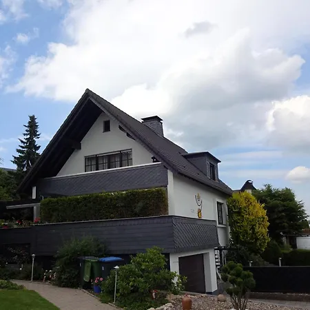 Frequent Traveler Apartament Winterberg