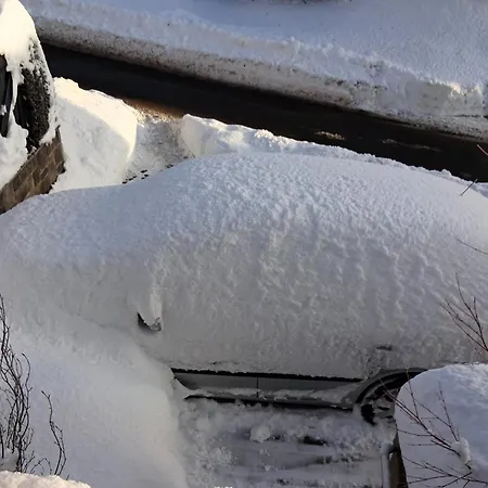 Frequent Traveler * ווינטרברג