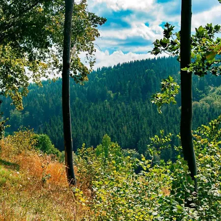 Frequent Traveler * Winterberg