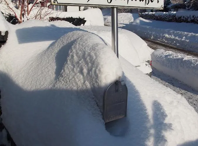 Frequent Traveler * Βίντερμπεργκ