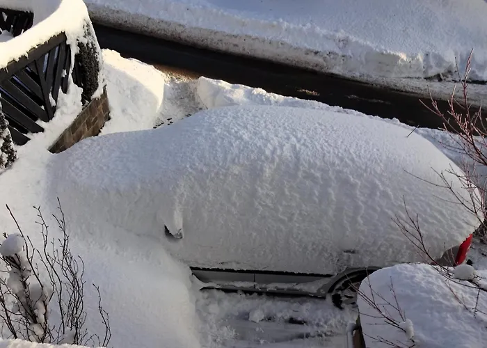 Frequent Traveler * Βίντερμπεργκ