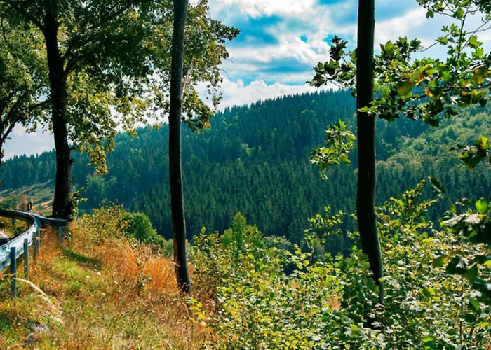 Frequent Traveler * Winterberg